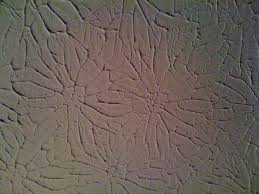 Crows foot texture roller cover. Rosebud Drywall Texture