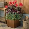 The best planter boxes can decorate your home and garden with greenery and floral scene. 1