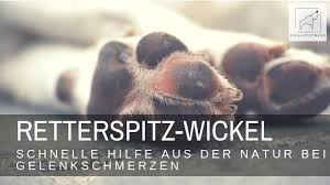 Pro dosierung kann man etwa ein likörglas (circa 20 ml) einnehmen. Retterspitz Wickel Schneller Helfer Gegen Gelenkschmerzen Beim Hund