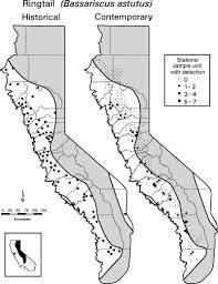 Both are rarely seen, so if you see one. Distribution Of Historical Records Grinnell Et Al 1937 And Download Scientific Diagram