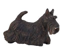 Image result for skotský teriér