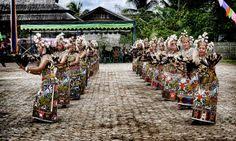 Penduduk indonesia termasuk bersifat heterogen dan memiliki budaya yang beraneka ragam. 100 Indonesian Tribes Dayak Ideas Borneo Indigenous Peoples Indonesian