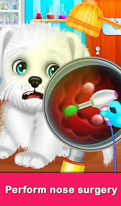 Puppy Surgery Hospital Pet Vet Care DayCare