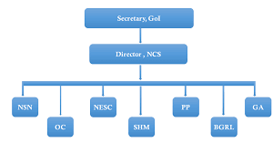 50 Ncs Structure