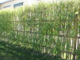 A hedge or hedgerow is a line of closely spaced shrubs and sometimes trees, planted and trained to form a barrier or to mark the boundary of an area, such as between neighbouring properties. Living Willow Hedges Insteading