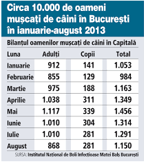 Luni, 12 decembrie 2016, 02:56. Cat Cheltuieste Statul Cu Oamenii MuscaÅ£i De Maidanezii Din CapitalÄ