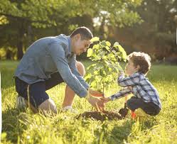 Liebe kunden, freunde und eine tierbestattung anstatt… februar 22nd, 2018credoconcept. Die Schonste Art Der Tierbestattung Hunderunden