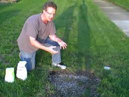 Add air to the soil. How To Grow Grass From Seed How To Plant Grass From Seed Youtube