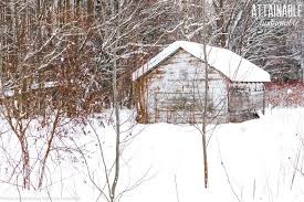 Backyard ducks backyard poultry backyard farming chickens backyard keeping chickens raising ducks: Duck Coop How To House Ducks In Winter Months