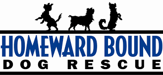 I called homeward bound last night to make an appointment anticipating the inevitable. Pets For Adoption At Homeward Bound Rescue In Monticello Mn Petfinder