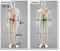 11 Exercises For Lower Crossed Syndrome One Adjustment