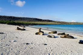 Ecuador the galapagos islands odysseys unlimited the. Location Galapagos Islands World Map Galapagosinformation Com Blog