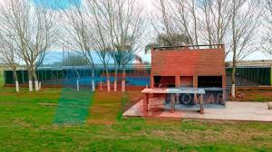 Entre los detenidos se encuentran la mujer de medina, maría fabiola garcía (47); Los Lujos De Pata Medina Armas Dolares Quintas Y Camiones Tn