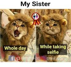 Hello Brothers And Sisters Agree Tag Mention Share With Your Brother And Sister Si Funny Sister Memes Siblings Funny Quotes Sisters Funny