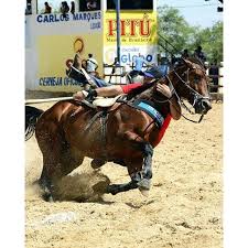 Jun 05, 2021 · clique agora para baixar e ouvir grátis vaqueiro sm atualizado 2021 junho/forro de vaquejada postado por klb da mídia em 05/06/2021, e que já está com 257 downloads e 5.398 plays! 18 Ideias De Vaquejada Vaquejada Cavalos Vaqueiras