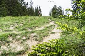 Hundham is a village in upper bavaria and has an elevation of 779 metres. Wanderung Auf Den Schwarzenberg Panorama Und Gipfelbier Auf Den Berg De