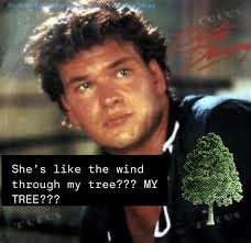 She's like the wind, through my tree”??? 😮😮😮 TREE??? 🌲 my whole life is  a lie because I thought it was “in my dreams” 😝