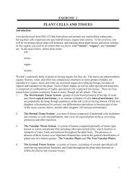 Check spelling or type a new query. Plant Cells And Tissues Pageout