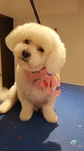 Wendy Hancock-Dumais