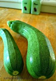 Check spelling or type a new query. How To Grow Zucchini In Containers Growing Zucchini Vegetable Garden For Beginners Growing Vegetables In Pots