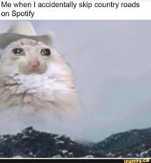 Me When I Accidentally Skip Country Roads On Spotify Ifunny Funny Animal Memes Animal Memes Funny Pictures