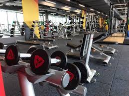May 19, 2019 #12 just train at home better. Cheap Gyms In Singapore Gym Memberships That Are Less Than 100 A Month