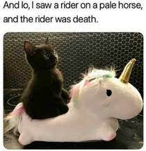 Find and save happy saturday memes | from instagram, facebook, tumblr, twitter & more. Happy Caturday Meme Guy