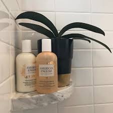 American English Youth Repair Shampoo And Conditioner With Baobab Quinoa And Sea Berry Vegan Hair Products Repair Shampoo American English Conditioner