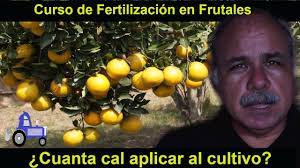 Calculo Del Encalado Para Arboles Frutales Cultivados En Suelos Acidos Youtube