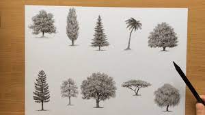 In this tutorial for beginners you can see how to. How To Draw Trees With Charcoal Pencils Drawing Tutorial Youtube