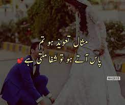 Pin On Urdu Adab