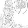 Free printable tree coloring pages for kids. 1