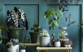 Diese seiten sollen ihnen helfen, pflanzen und blumen anhand von bildern einfach und schnell zu bestimmen.am besten gelingt das über die farbe oder form der blüten.die bestimmung von nicht blühenden pflanzen nach ihrem habitus (wuchsform) oder blattform ist ebenfalls möglich. Blumen Und Pflanzenladen In Bremen