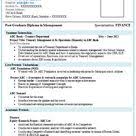 Professional Curriculum Vitae Resume Template For All Job Seekers Sample Template Of An Resume Format Download Resume Format For Freshers Best Resume Format