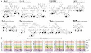 Tolle damenmode, kindermode und umstandsmode! Genes Free Full Text Novel Mutations In Clpp Lars2 Cdh23 And Col4a5 Identified In Familial Cases Of Prelingual Hearing Loss
