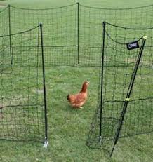 For gardens, chicken wire pens may be. Omlet Chicken Fencing Chicken Keeping Shop Omlet Uk Chicken Fence Chicken Coop Chicken Enclosure