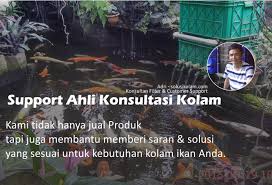 081212108492 (wa), 08115423155 (voice) jl. Solusi Kolam Solusi Praktis Sistem Filter Kolam Untuk Rumah Anda
