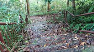 Pejabat hutan daerah kinta/ manjung, jalan bemban, 31000 batu gajah, perak tel: Hutan Lipur Ulu Kinta Mohd Faiz Bin Abdul Manan