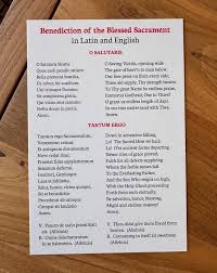 Image result for Faroa salutaris