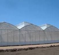 Tropical Sawtooth Roof Ventilation Greenhouse with ...