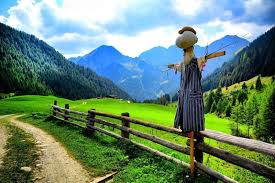 Grassamen keimen nur nicht, wenn es noch zu kalt ist. Wie Lange Braucht Rasen Zum Keimen