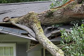 Check spelling or type a new query. Roof Repairs That Your Insurance Will Pay For Graves Bros Home Improvement Co