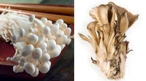 Add 3 tablespoons bisquick mix and the onions; Are Mushrooms A Vegetable Ohio Farm Bureau