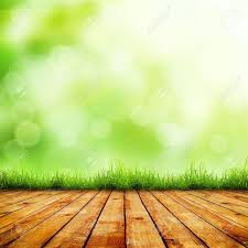 Water damage is a common problem with solid wood flooring, so it is not recommended for bathrooms, kitchens or laundry rooms. Fresh Spring Green Grass With Green Bokeh And Sunlight And Wood Stock Photo Picture And Royalty Free Image Image 18148224