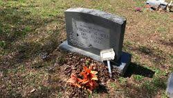 Virginia Geneva Allen Agee (1927-2002)