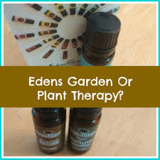 Stress relief, relaxation and quiet time (which is our personal favourite). Edens Garden Vs Plant Therapy Organic Palace Queen