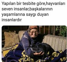 Mavi Adli Kullanicinin Alintilar Panosundaki Pin Hayvanlar Guzel Soz Alintilar