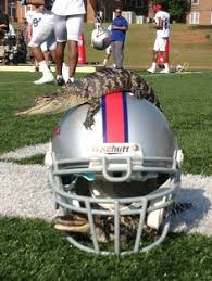 We did not find results for: 120 Necessary Roughness Ideas Scott Cohen Callie Thorne Scott