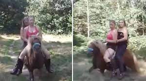 Web cam girls' who 'rode pony for sex fetish video' probed over cruelty  claims - Daily Star