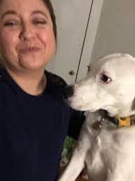 Pitbulls and their adorable pouty faces